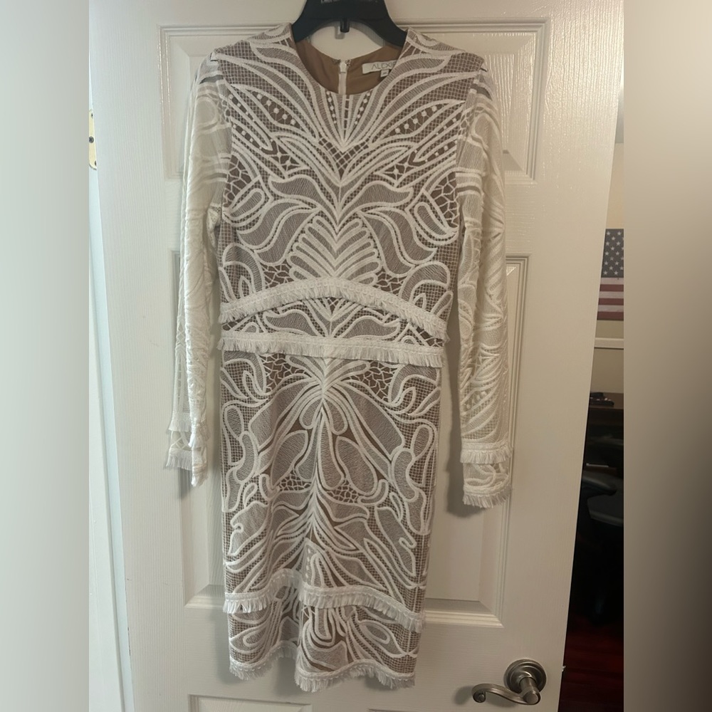 Alexis long sleeve lace fully lined dress - Picture 3 of 4